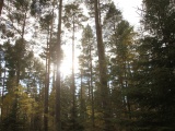 Tn IMG 1238